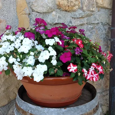 乡村民宿 西卡2号乡村民宿